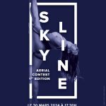Skyline Contest : première compétition amateur interstudios !