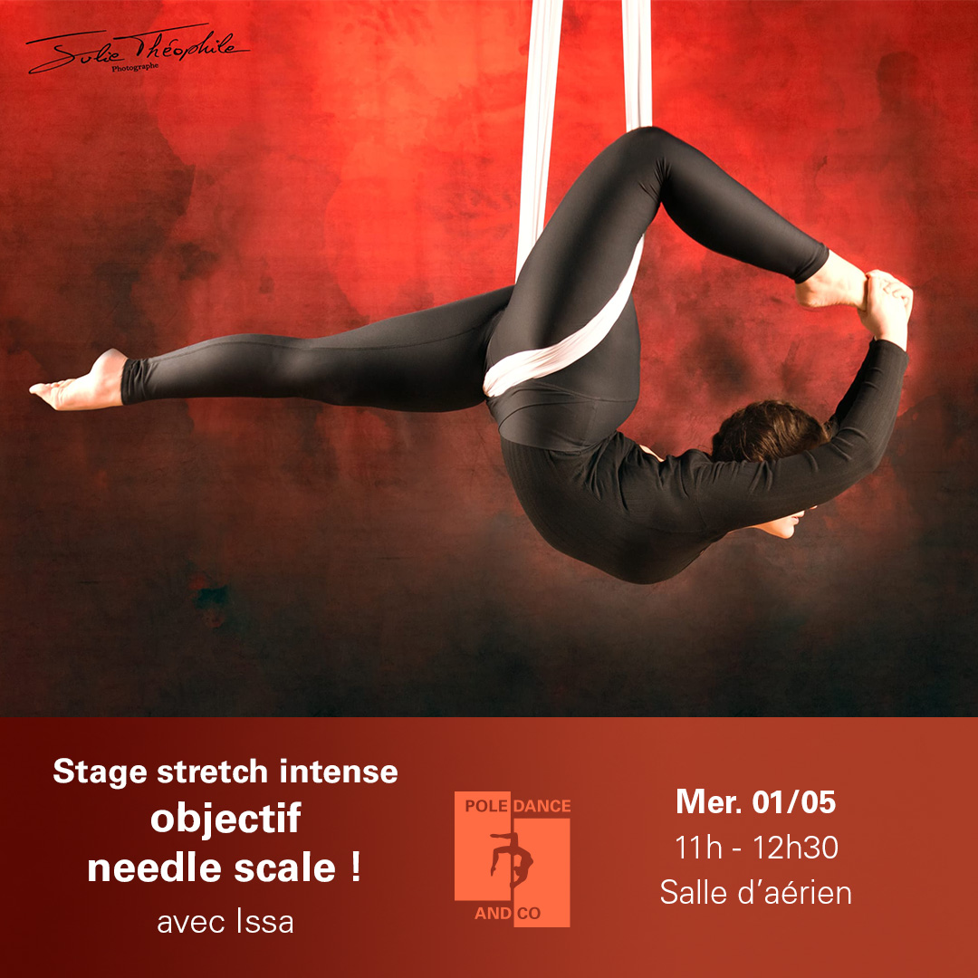 01/05 Stage stretch intense objectif needle scale ! Pole Dance and Co